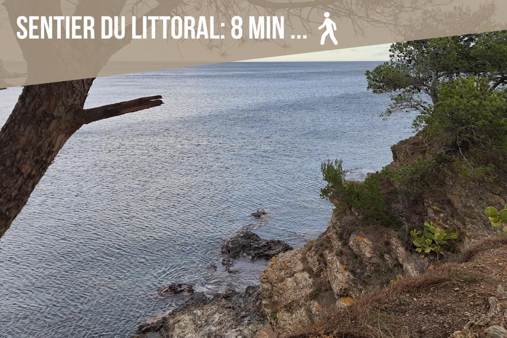 Le Belveze, Emplacement Central Et Calme Port Vendres Bagian luar foto